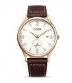 Citizen Eco-Drive Classic Man's 40mm Watch - 0