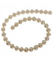 Rajola String for Women - Freshwater Pearls 12 - 13mm and White Spheres