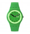 Swatch Watch - Pride Proudly Green Time and Green Date 41mm