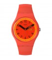 Swatch Watch - Pride Proudly Red Time and Date Red 41mm