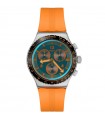Swatch Watch - Essentials Tangerine Tiger Chronograph Orange 43mm Blue