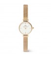 Orologio Daniel Wellington - Petite Mini Evergold Solo Tempo Gold 19mm Bianco